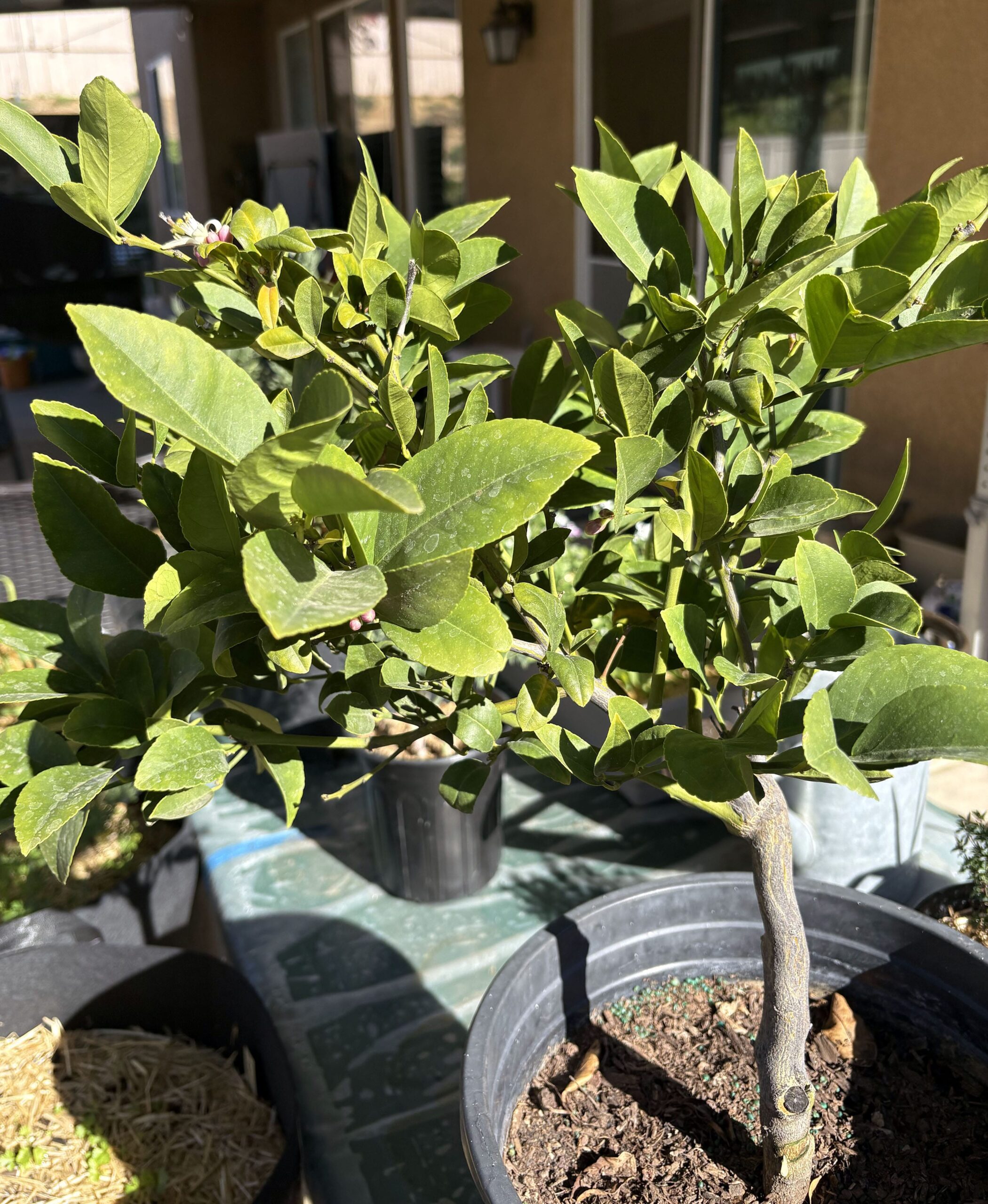 Maintenance and Monitoring