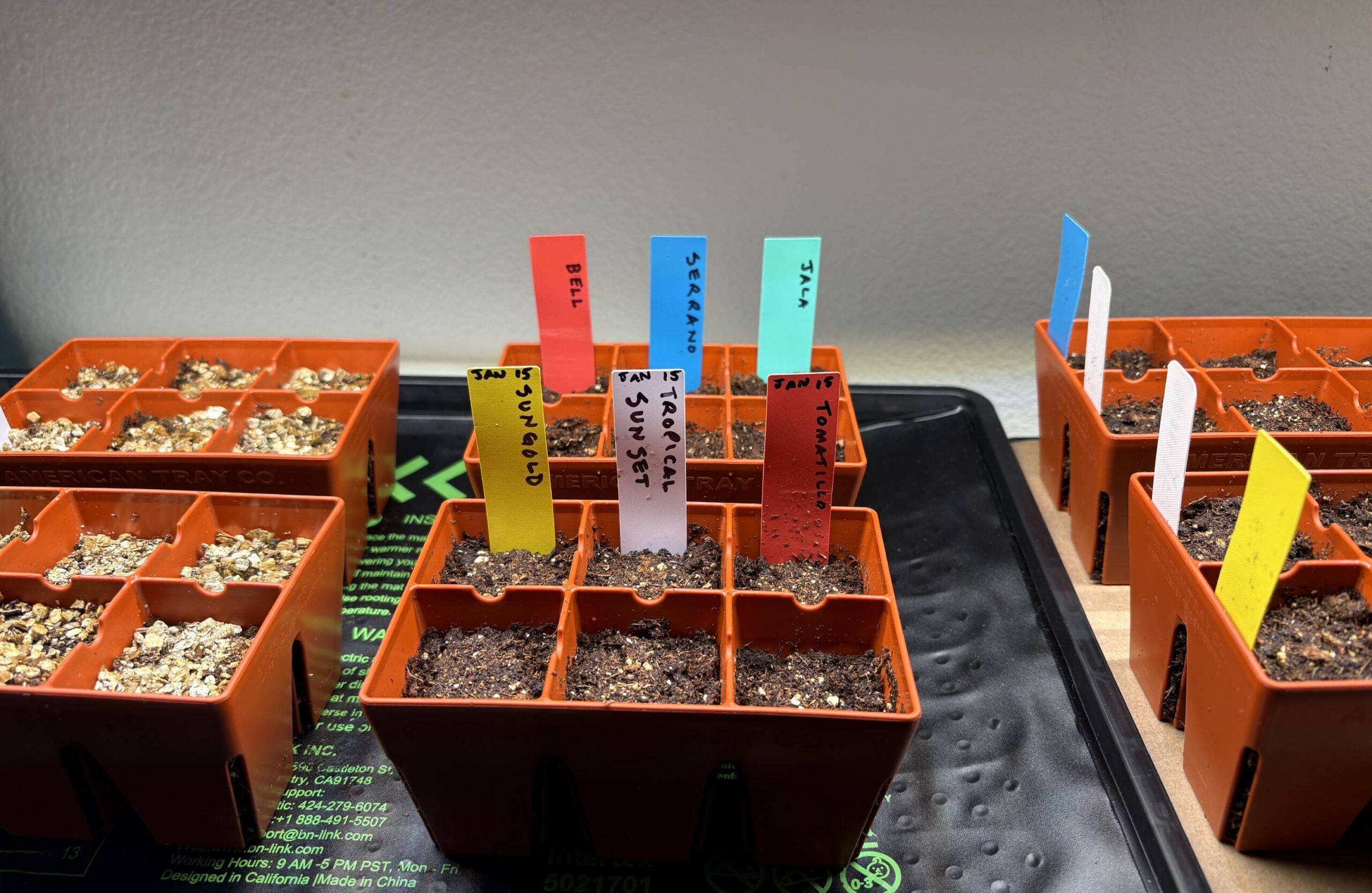 Starting Seeds