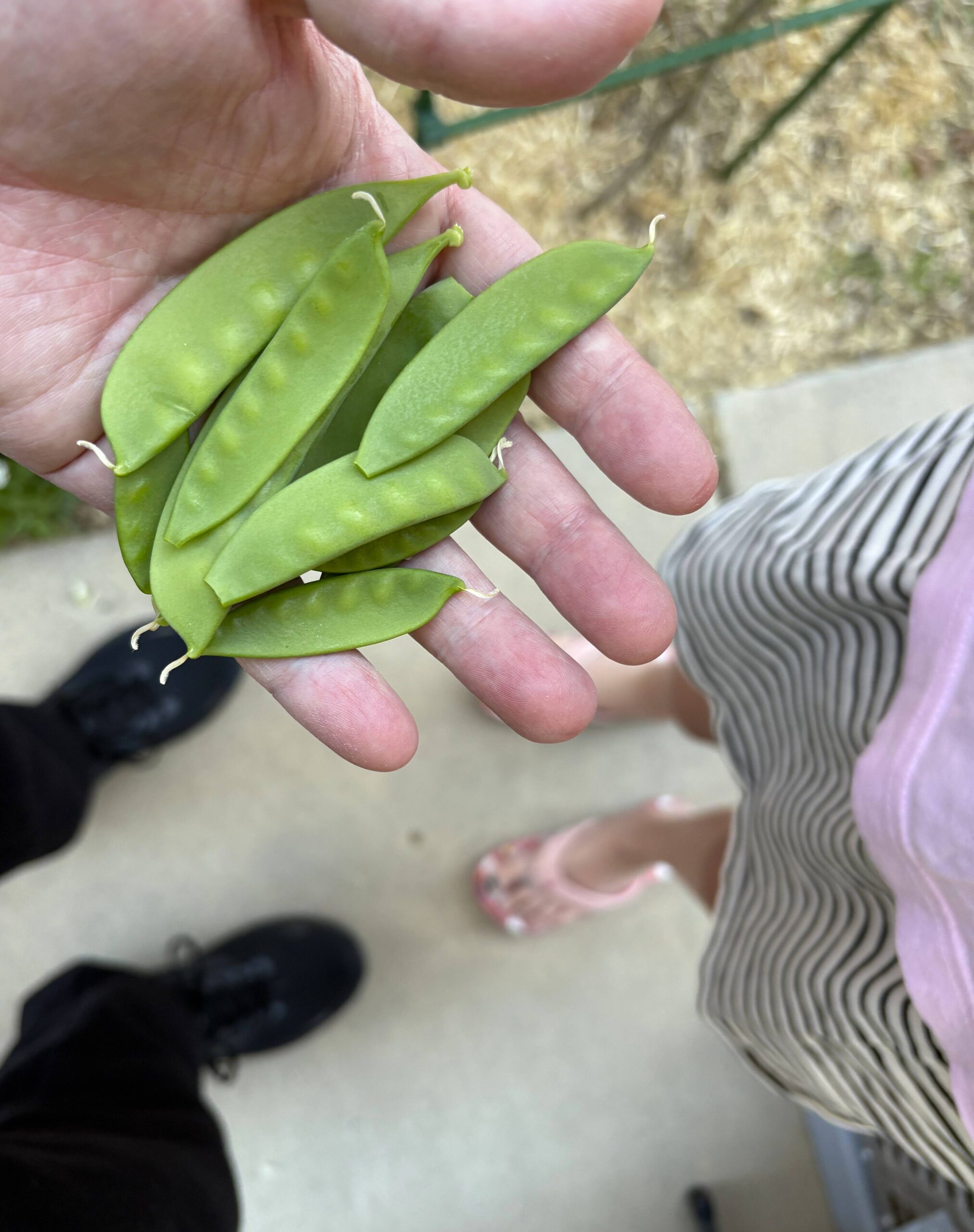 Preparing for Spring