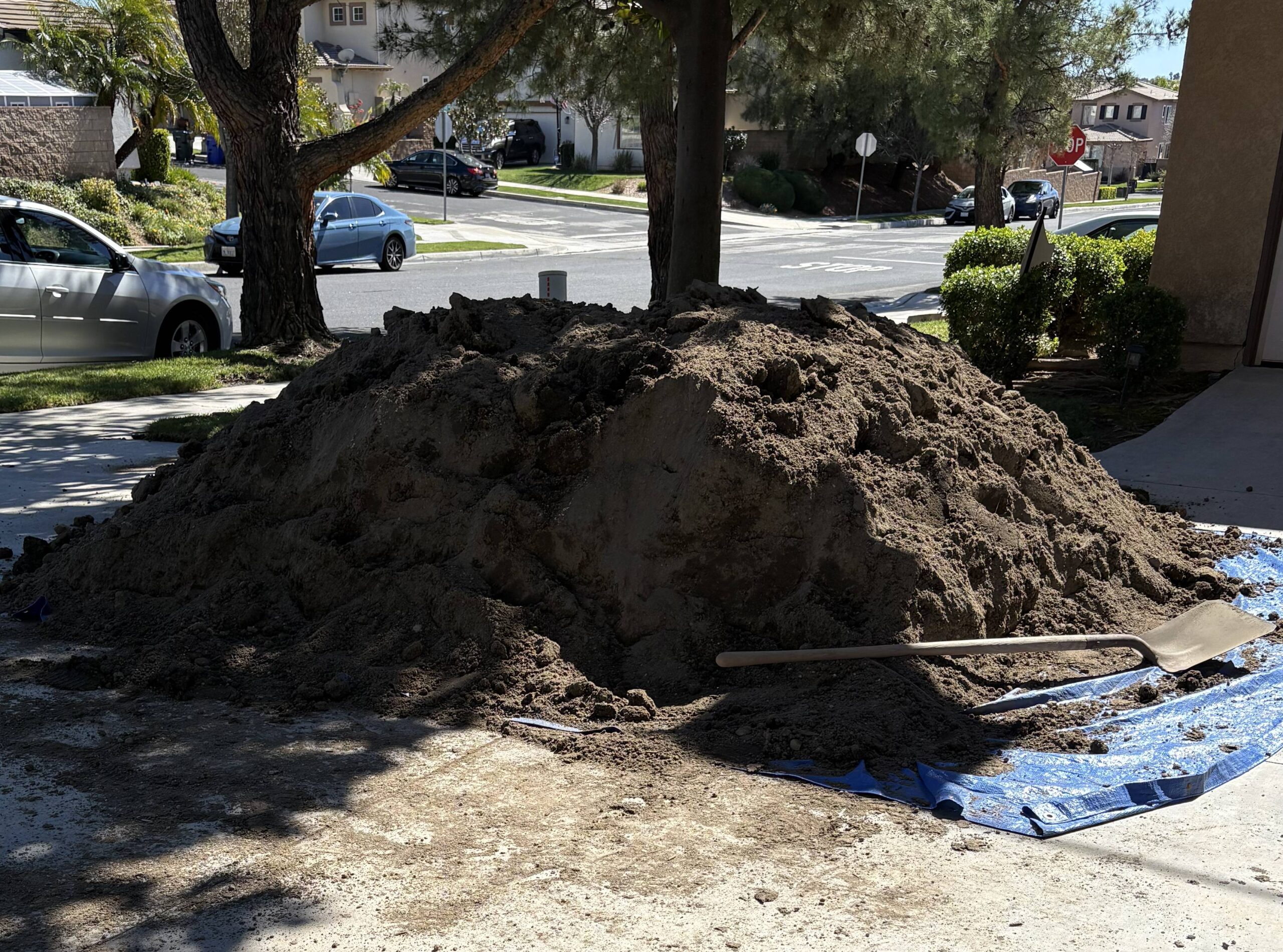 10,000 lbs of dirt, lizards, and a pocketful of dreams