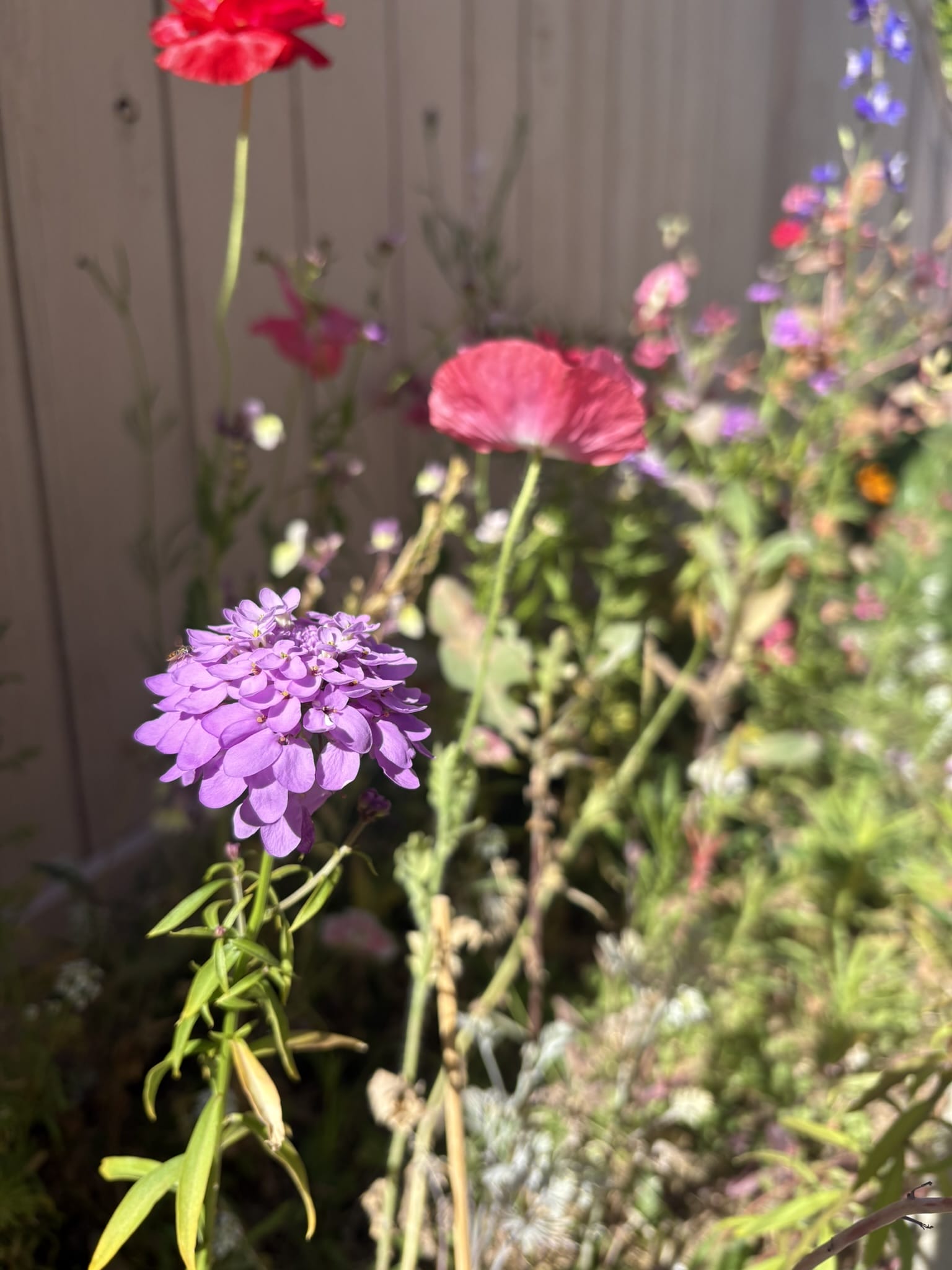 May Photos